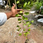 WhatsApp Image 2025-10-09 at 22.20.39_2c80c4b7