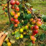 WhatsApp Image 2025-10-09 at 22.20.41_125c0720