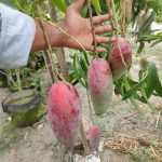 WhatsApp Image 2025-10-09 at 22.20.41_7faf6bae