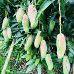 WhatsApp Image 2025-10-09 at 22.20.42_4e076f6a