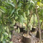 WhatsApp Image 2025-10-09 at 22.20.43_a857aeb2